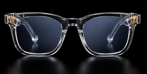 STUDS TRANSPARENTS GLASSES